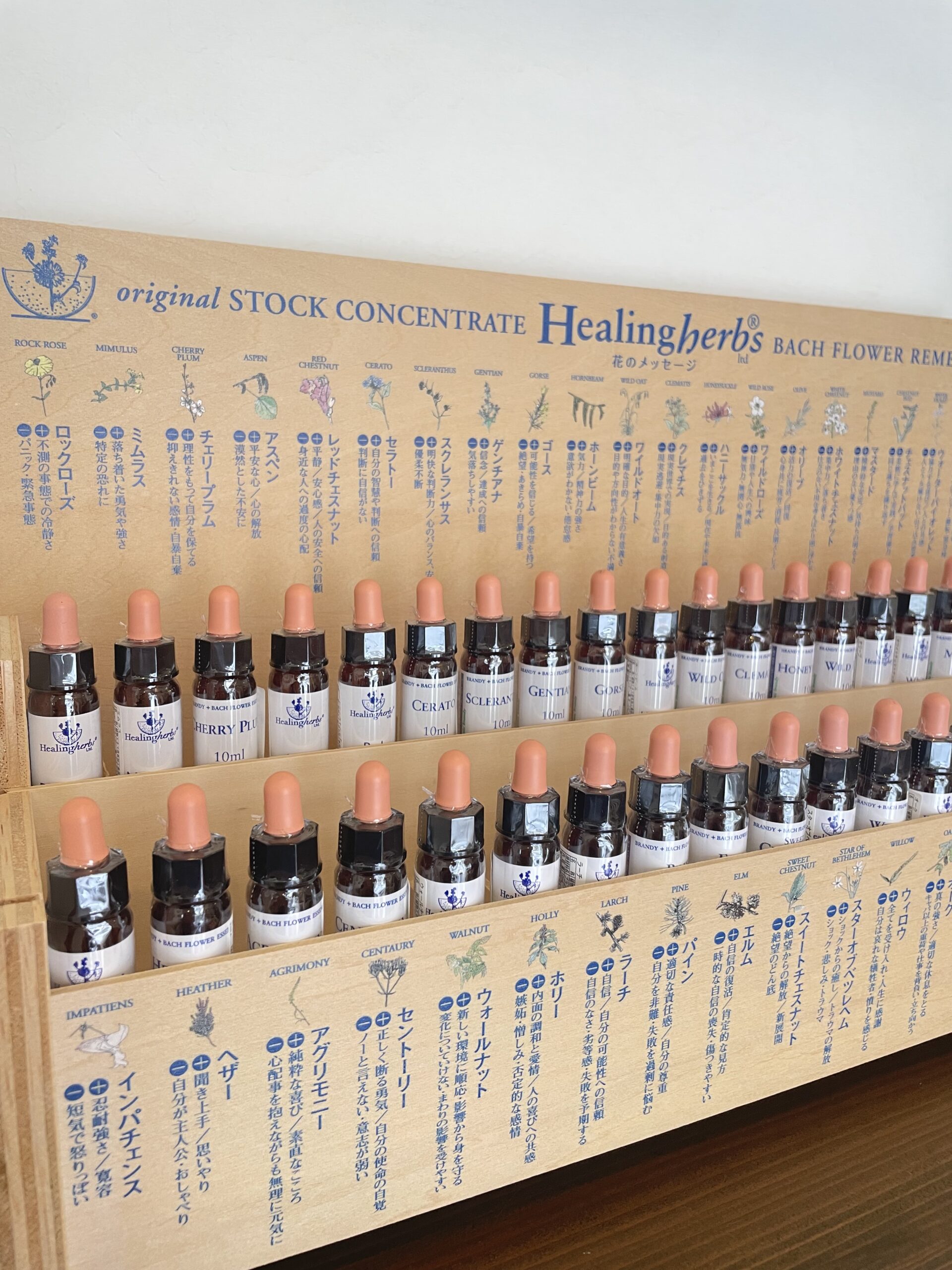 ヒーリングハーブス・バッチフラワー協会】フラワーエッセンスのお